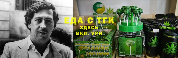 дмт Алзамай