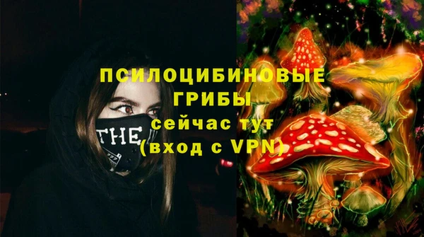 стаф Абинск