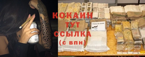 стаф Абинск