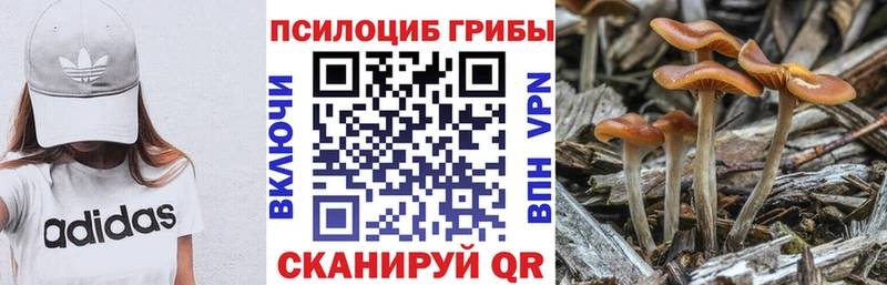 OMG сайт  Томари  мориарти как зайти  Псилоцибиновые грибы MAGIC MUSHROOMS 
